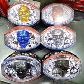 Universal 125cc Motorcycle LED Skull Tail Light