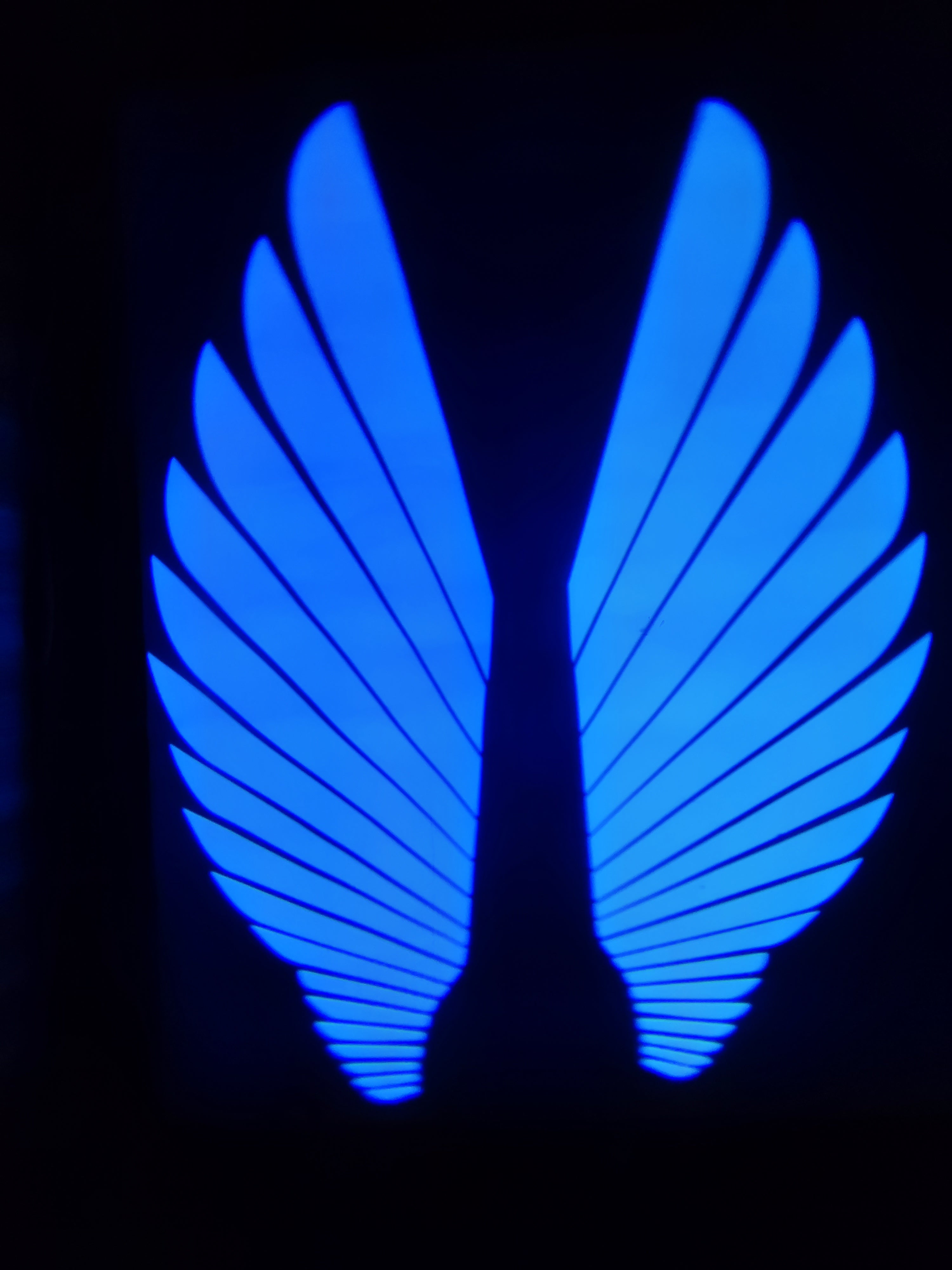 Angel Wings LED Bike Light