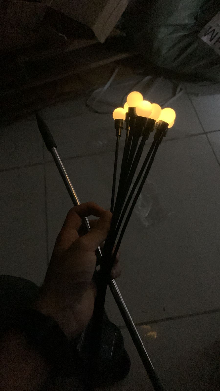 Garden Lights