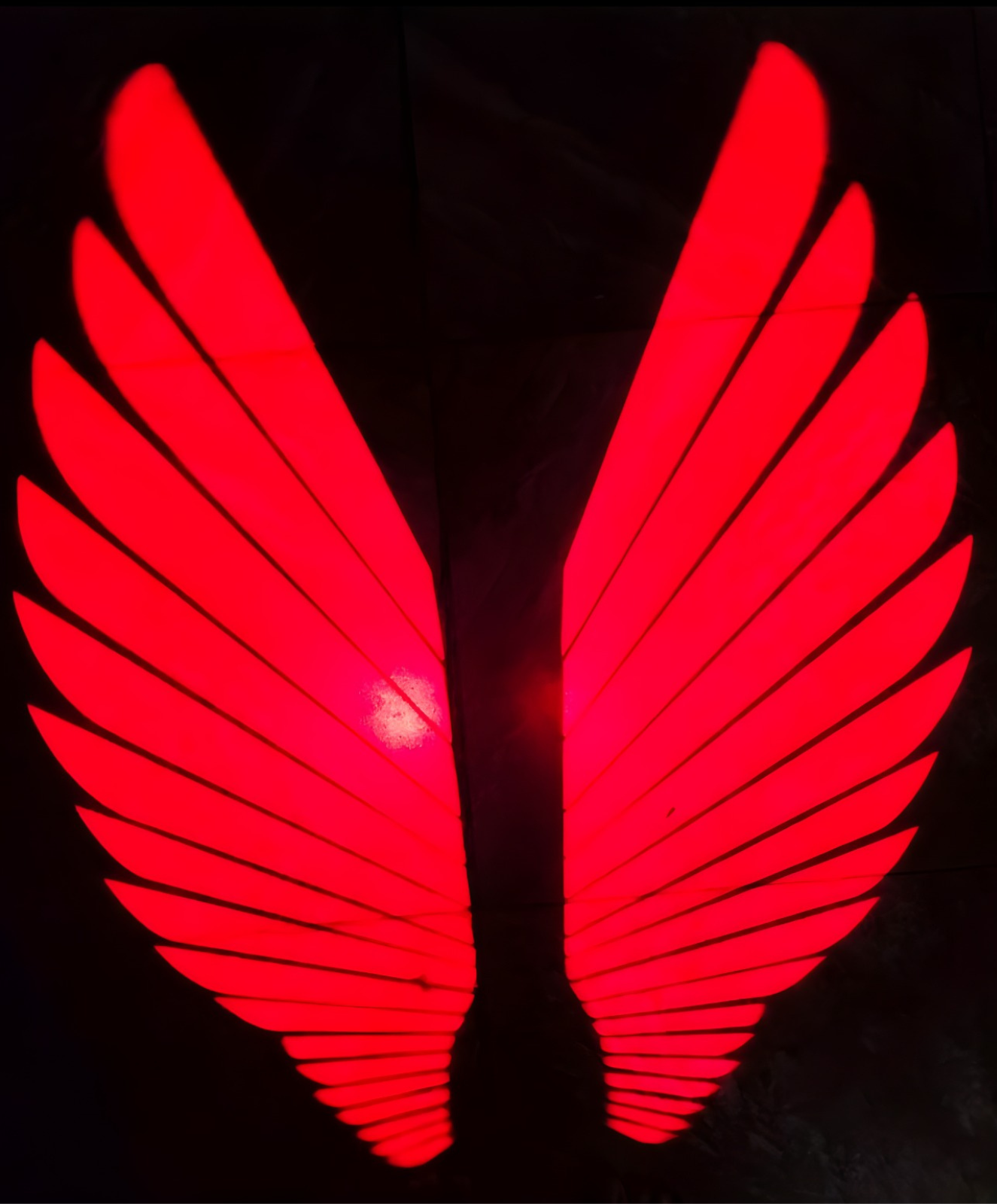 Angel Wings LED Bike Light