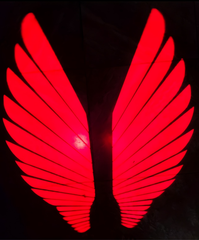 Angel Wings LED Bike Light